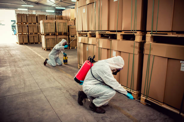 Best Pest Control for Businesses  in Texas City, TX