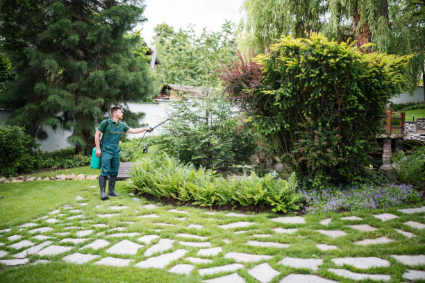 Best Best Pest Control Companies  in Texas City, TX