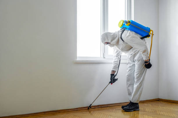 Best Spider Control Near Me  in Texas City, TX