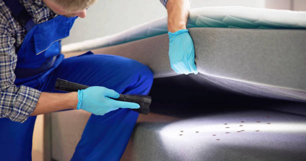 Best Pest Control Treatment  in Texas City, TX