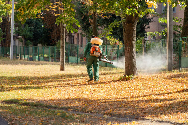 Best Best Pest Control Companies  in Texas City, TX