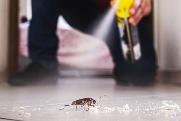 Best Emergency Pest Control  in Texas City, TX