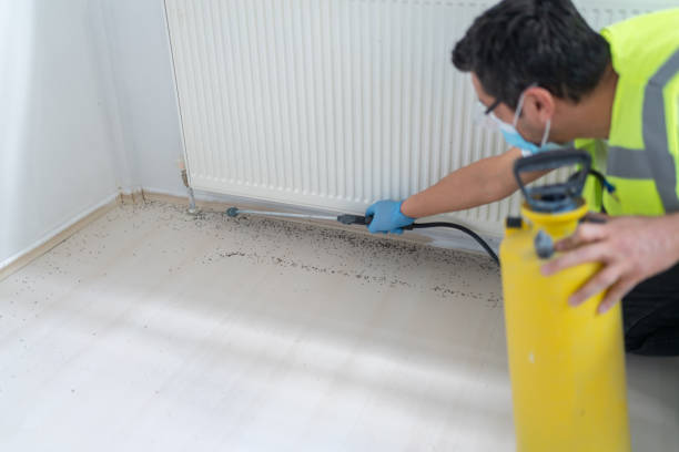 Best Emergency Pest Control  in Texas City, TX