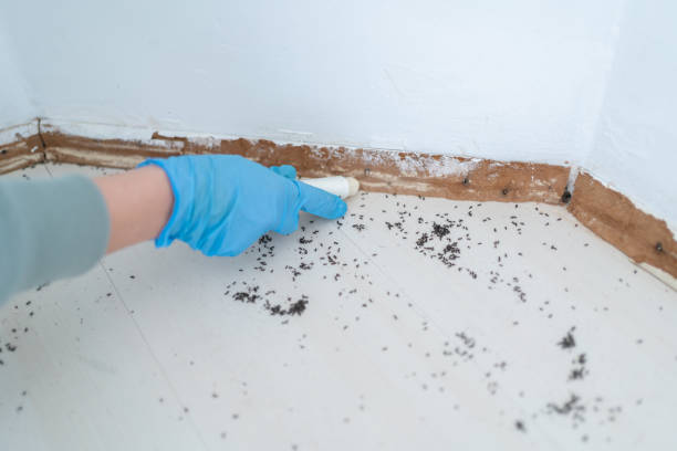Best Wildlife Control Services  in Texas City, TX